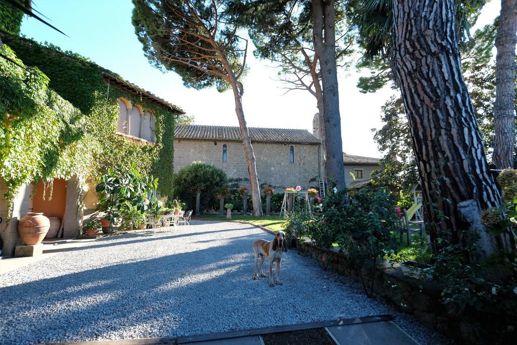 B&B A Piazza Del Gesu ヴィテルボ エクステリア 写真